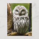 Recherche de membres cartes postales Nature