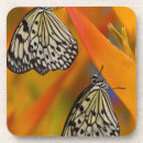 Recherche de cerf volant dessous de verres Nature