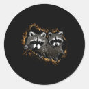 Recherche de caractéristiques autocollants Comportement raccoon