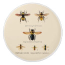 Recherche de science boutons et poignées de porte Vintage