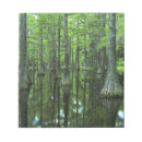 Recherche de floride blocsnotes Paysage