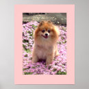 Recherche de pom posters Pour enfants