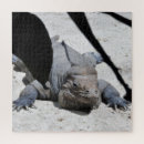 Zoek naar rhinoceros puzzels Wilde dieren