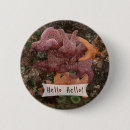 Zoek naar zeester buttons Strand