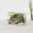 Recherche de petit somme de chat vœux cartes Chats