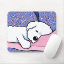 Recherche de bichon tapis souris Chien