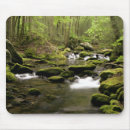 Recherche de courant de montagne Smokies