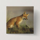Zoek naar rode vos buttons Niemand