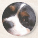 Zoek naar cavalier onderzetters Canine