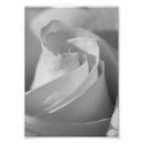 Recherche de fleurs noires et blanches posters Pétales