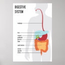 Recherche de digestif posters Coeur