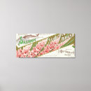 Recherche de gladiola Saumon