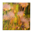 Zoek naar macro tegels Zomer