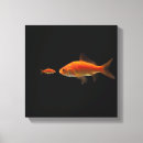 Zoek naar goudvis canvas prints Natuur