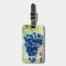 Recherche de vigne bagages étiquettes Vignoble
