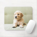 Recherche de bébés animaux tapis souris Chiot
