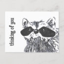 Recherche de cute raccoon cartes postales Raton laveur