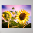 Zoek naar lentebloesem kunst Bloem