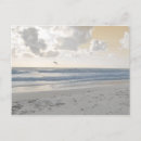 Recherche de mers cartes postales Côte