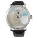 Recherche de adulte montres Carnivore
