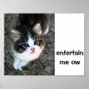 Recherche de drôle de chat posters Unique