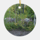 Recherche de de de renne ornements Faune