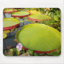 Zoek naar lily pad muismatten Groen