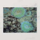 Recherche de bijoux cartes postales Travel