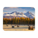 Zoek naar balen magneten Boerderij