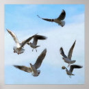 Recherche de de ma tête art Oiseau