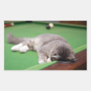 Zoek naar poolbal stickers Pooltafel