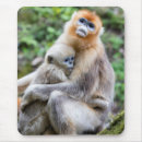 Recherche de nez tapis souris Singe