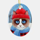 Zoek naar ragdoll ornamenten Kitten