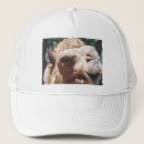 Recherche de de chameau casquettes Dromadaire