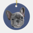 Recherche de bouledogue français ornements Chiot de bouledogue