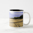 Recherche de beaches tasses Caribbean