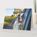 Recherche de french bulldog vœux cartes Chien