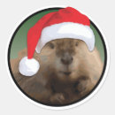 Zoek naar bever stickers Kerstmis