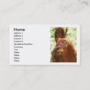 Recherche de rhode cartes visite Coq
