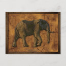 Recherche de éléphant africain cartes postales Faune