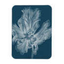 Zoek naar tulip magneten Floreel