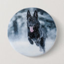 Recherche de allemand de berger badges Amoureux des chiens