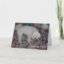 Recherche de chien maltais vœux cartes Chiens