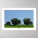 Recherche de oliviers posters Italie
