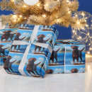 Recherche de chocolat labrador papier cadeau Mignon