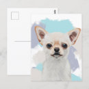 Zoek naar witte hond briefkaarten Schattige honden