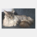 Recherche de chats autocollants Félin