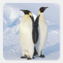 Recherche de faune antarctique autocollants Animal