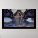 Recherche de black panthers posters Jaguars