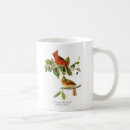 Recherche de cardinalis Illustration